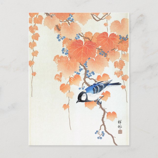 Great tit on paulownia branch - Ohara Koson - Art Postcard (Front)