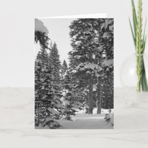 Great to Hear from You! After Christmas Template