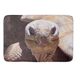 Great Turtle Bath Mat! Mat
