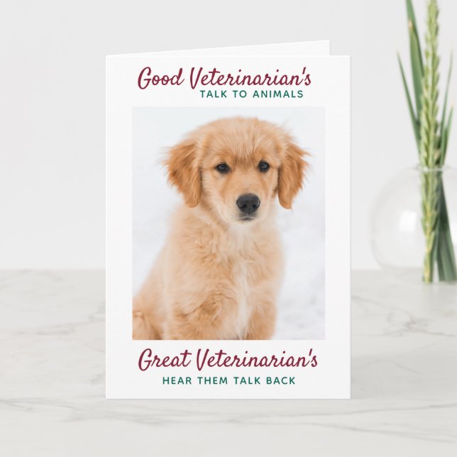 Great Veterinarian Personalize Christmas Pet Photo Holiday Card (Front)