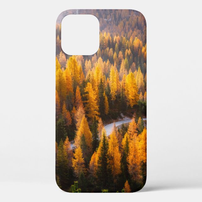 Great view of winding road. Dramatic and gorgeous  Case-Mate iPhone Case (Back)