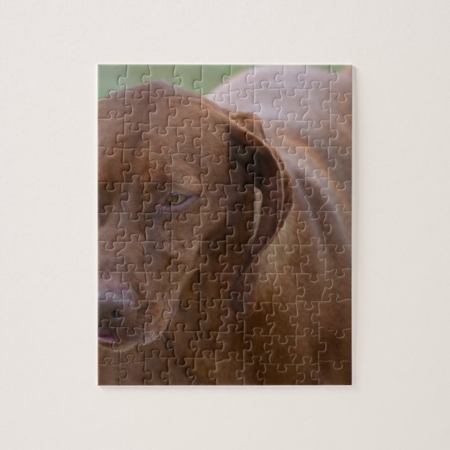 Great Vizsla Dog Jigsaw Puzzle (Vertical)