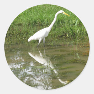Great White Egret Classic Round Sticker