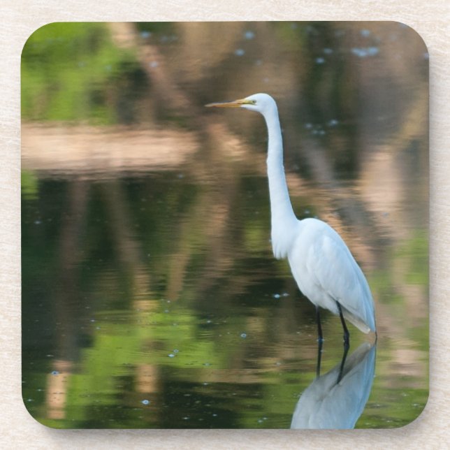 Great White Egret Coaster (Front)