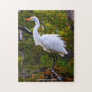 Great White Egret Floride Jigsaw Puzzle