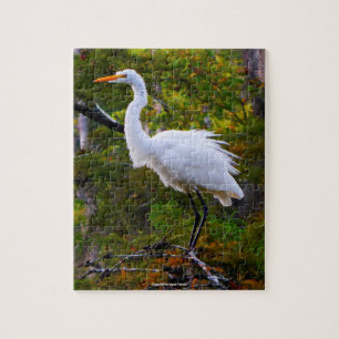 Great White Egret Floride Jigsaw Puzzle