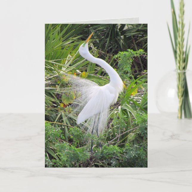 Great White Egret Love Dance Holiday Card (Front)