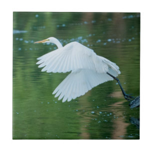 Great White Egret Tile