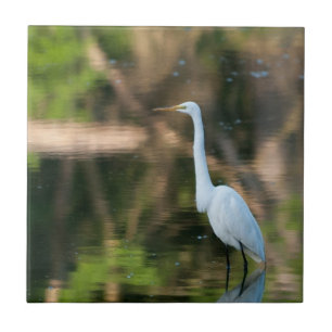 Great White Egret Tile