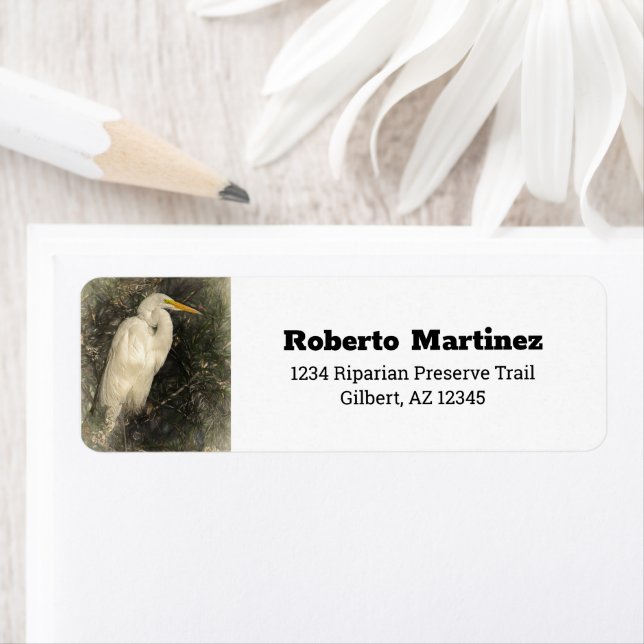 Great White Egret Water Bird Digital Art Painting (Insitu)