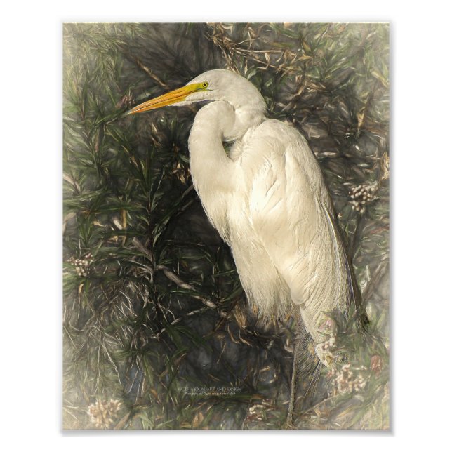 Great White Egret Water Bird Digital Art Painting Photo Print (Front)