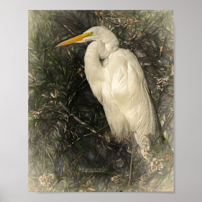 Great White Egret Water Bird Digital Art Painting  Poster (Front)
