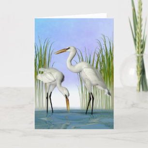 Great White Egrets Thank You Card