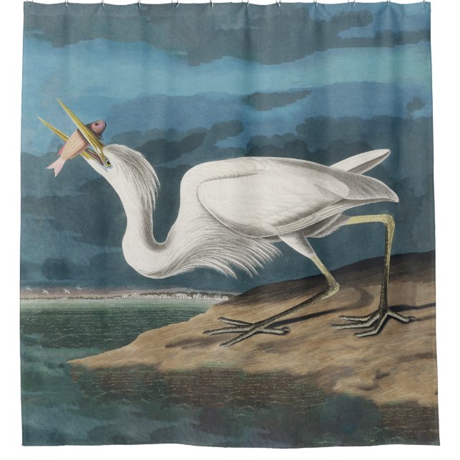 Great White Heron Audubon Bird Wildlife Painting (Front)