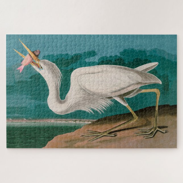 Great White Heron Birds of America Audubon Print Jigsaw Puzzle (Horizontal)