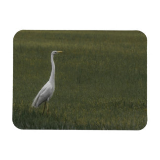 Great white heron Flexible Photo Magnet