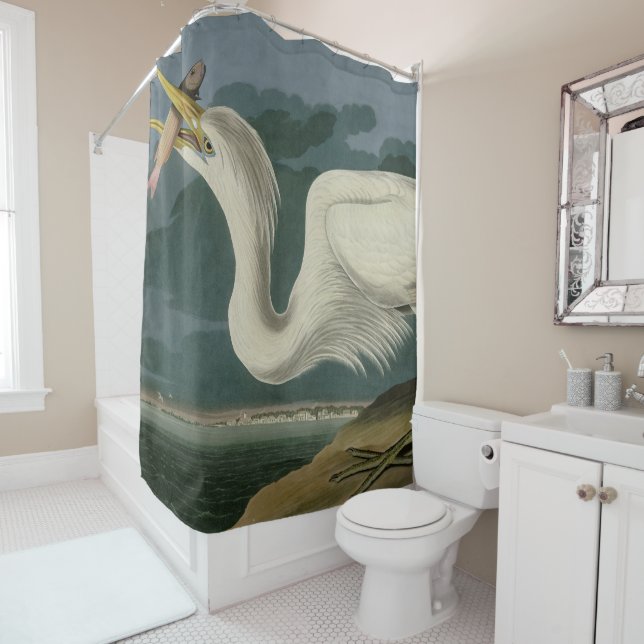 Great White Heron, from Audubon's Birds of America (In Situ)