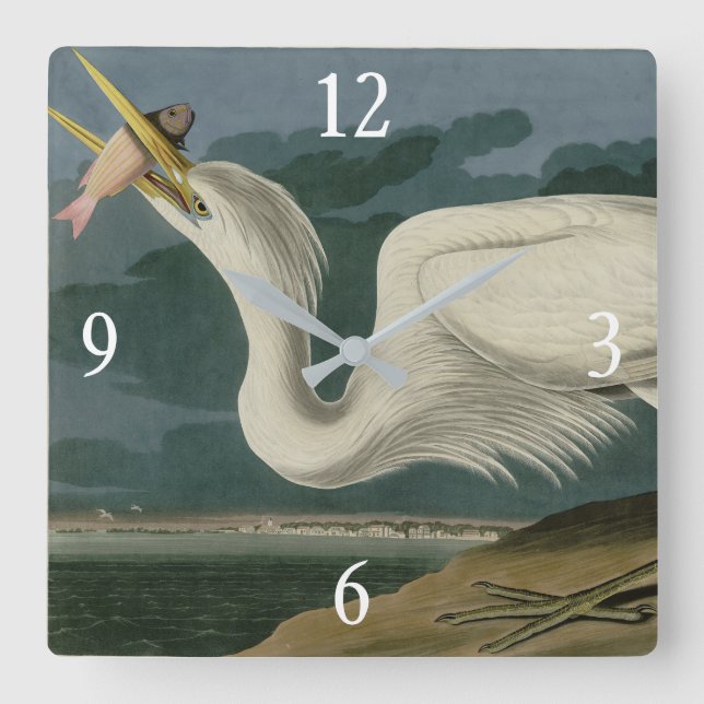 Great White Heron, from Audubon's Birds of America Square Wall Clock (Front)