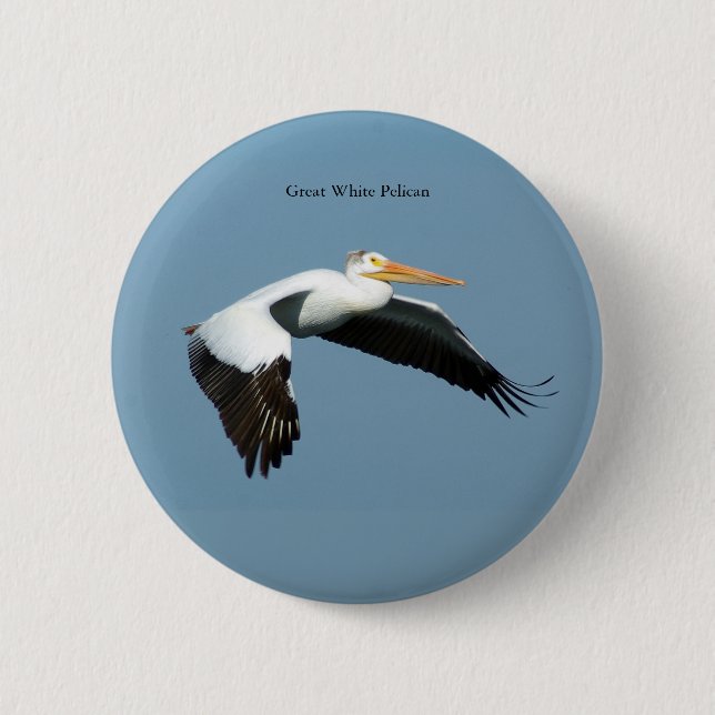 Great White Pelican button (Front)