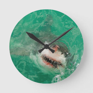 Great White Shark1 Round Clock