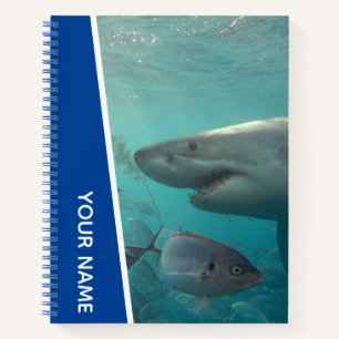Great White Shark and Fish Australia, Blue Notebook