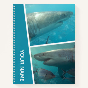 Great White Shark Australia Duo Photo Collage  Notebook