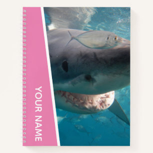 Great White Shark Australia Smile Teeth, Pink Girl Notebook