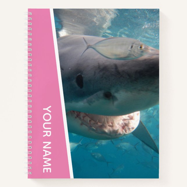 Great White Shark Australia Smile Teeth, Pink Girl Notebook (Front)