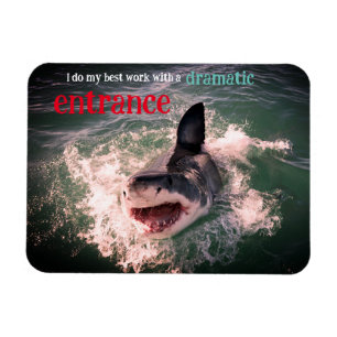 Great white shark breaching magnet