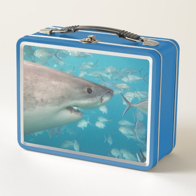 Great White Shark Close Up Ocean Australia Metal Lunch Box (Front)