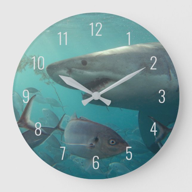 Great White Shark Close Up Underwater Australia Large Clock (Front)