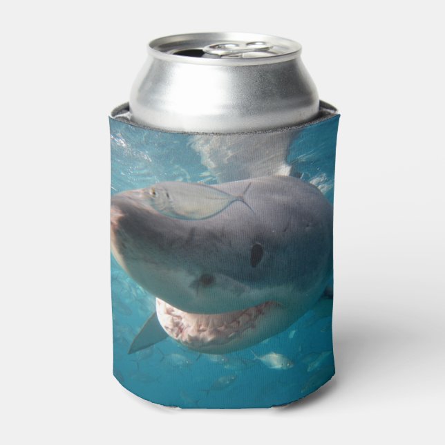 Great White Shark Close-up Underwater Cooler (Can Front)