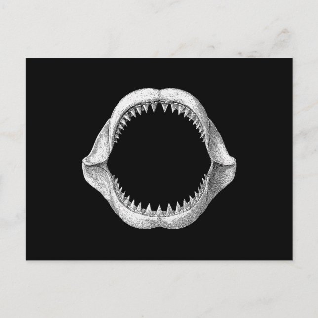 Great White Shark Jaw  Holiday Postcard (Front)