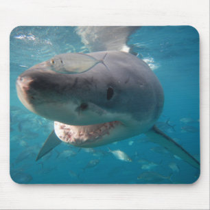 Great White Shark Mouse Pad