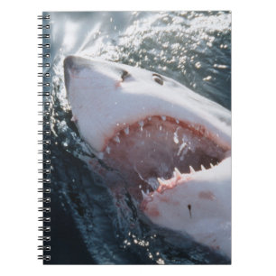 Great White Shark on sea Notebook