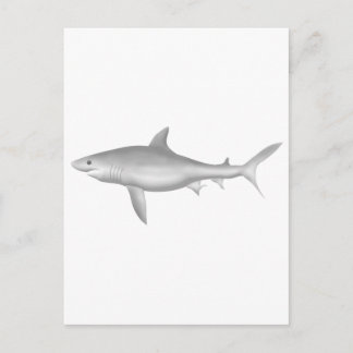 Great White Shark Postcard