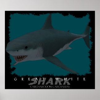 Great White Shark Poster