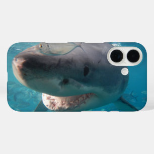 Great White Shark Smile Teeth Portrait Australia iPhone 16 Case