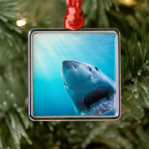 Great White Shark   South Africa Metal Ornament