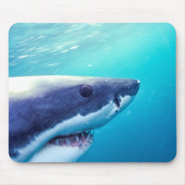 Great White Shark | South Africa Mouse Pad (Front)