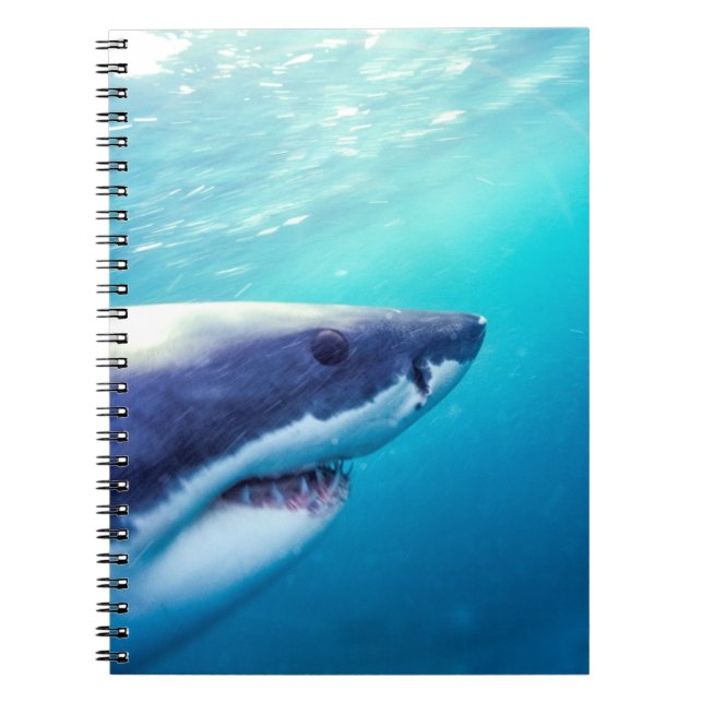 Great White Shark | South Africa Notebook (Front)