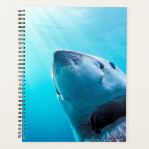 Great White Shark South Africa Planner
