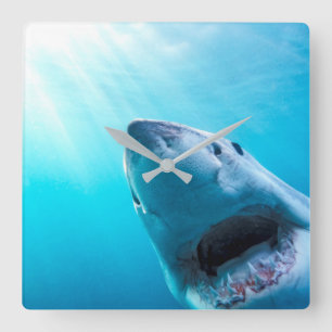 Great White Shark   South Africa Square Wall Clock