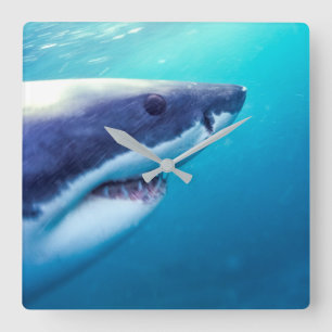 Great White Shark South Africa Square Wall Clock