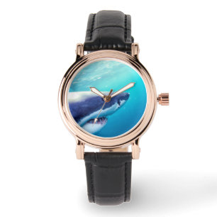 Great White Shark   South Africa Watch