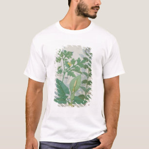 Greater Celandine or Poppy T-Shirt