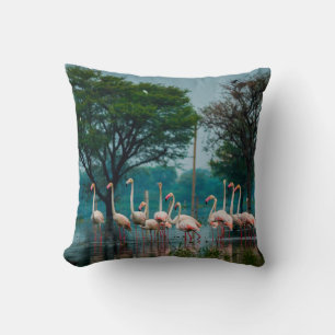 Greater flamingo flock in natural habitat. A natur Throw Pillow