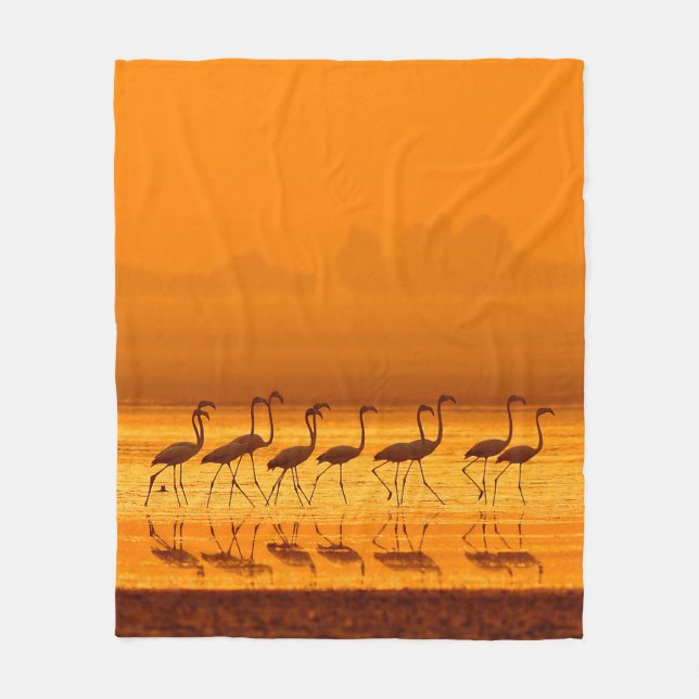 Greater Flamingo ( Phoenicopterus roseus) walking  Fleece Blanket (Front)