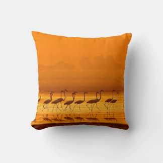 Greater Flamingo ( Phoenicopterus roseus) walking  Throw Pillow