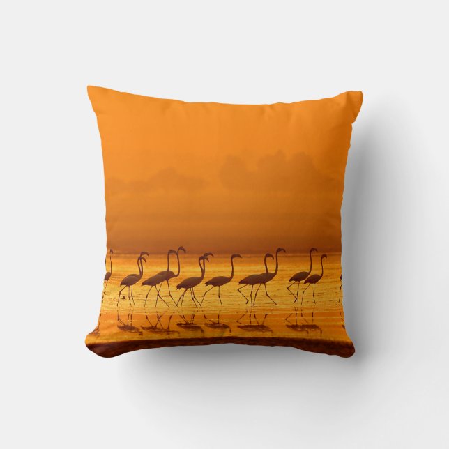 Greater Flamingo ( Phoenicopterus roseus) walking  Throw Pillow (Front)